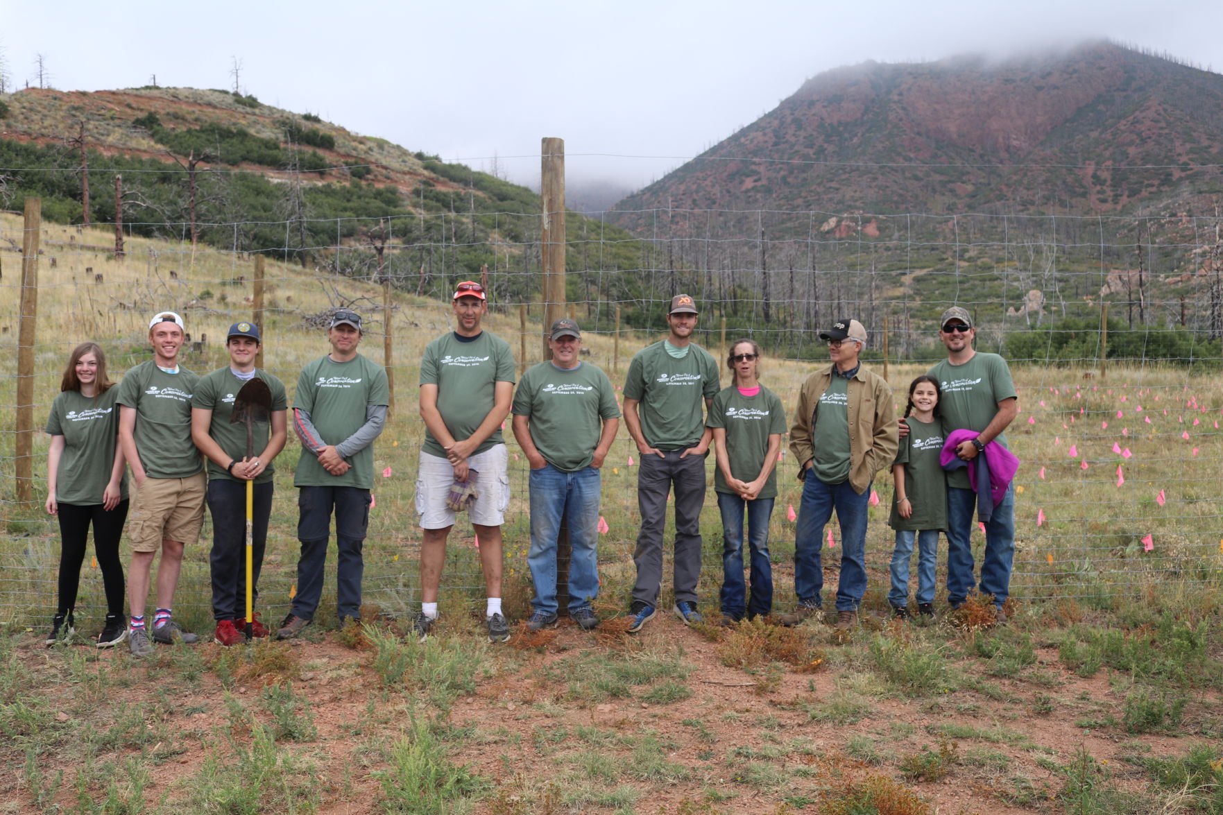 Mossy Oak Properties planting